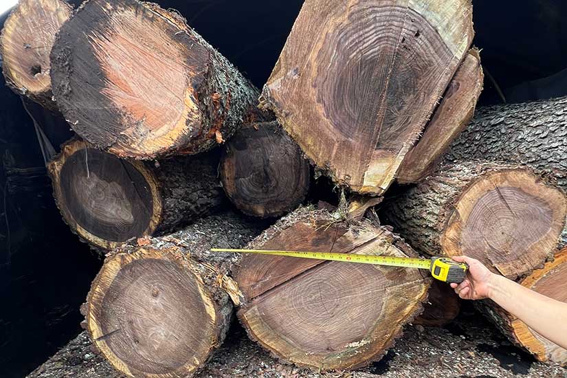Buy Firewood in New Jersey