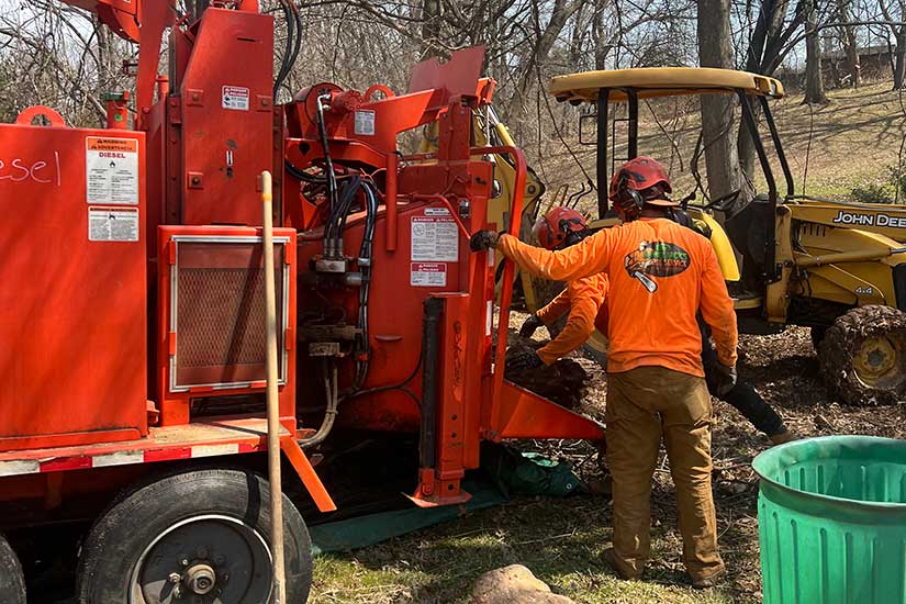 Certified Arborists Tree Removal Service