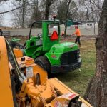 Certified Arborists Tree Removal Service