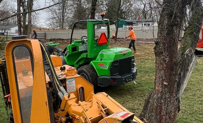 Certified Arborists Tree Removal Service