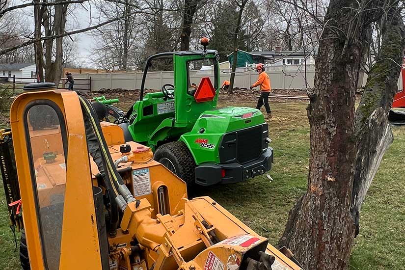 Certified Arborists Tree Removal Service