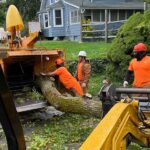 Emergency Tree Removal Service Clinton