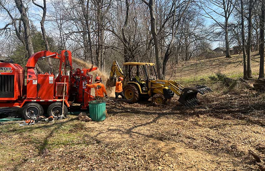 Emergency Tree Removal Service Clinton