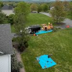 How Much Does Tree Service Cost