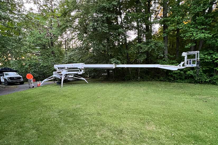How Much Does Tree Service Cost