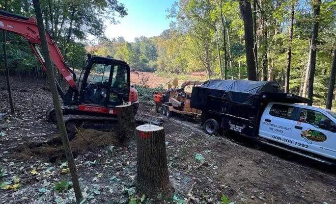 commercial land clearing new jersey