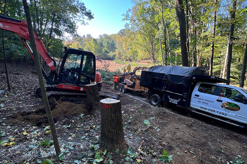 commercial land clearing new jersey