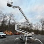 Emergency Tree Service Whitehouse Station