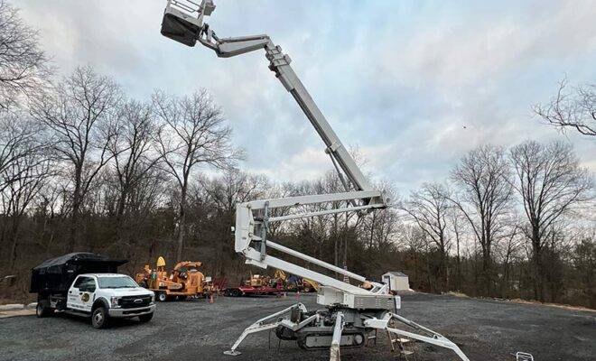 Emergency Tree Service Whitehouse Station