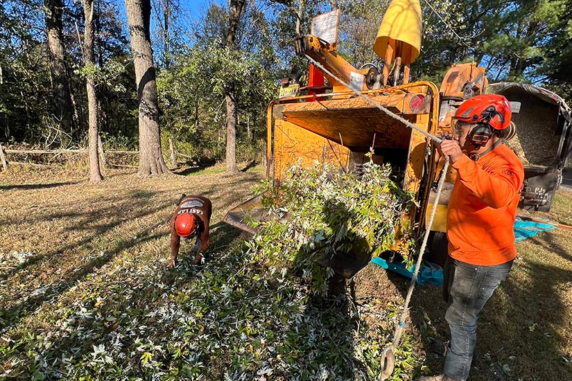 Emergency Tree Service Whitehouse Station