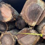 Firewood & Logs for Sale in New Jersey