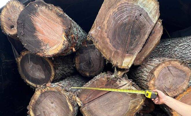 Firewood & Logs for Sale in New Jersey