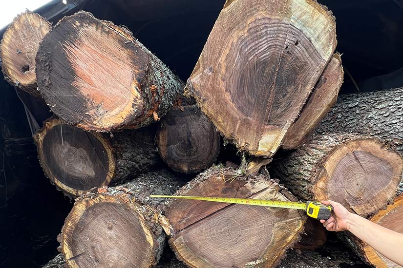 Firewood & Logs for Sale in New Jersey