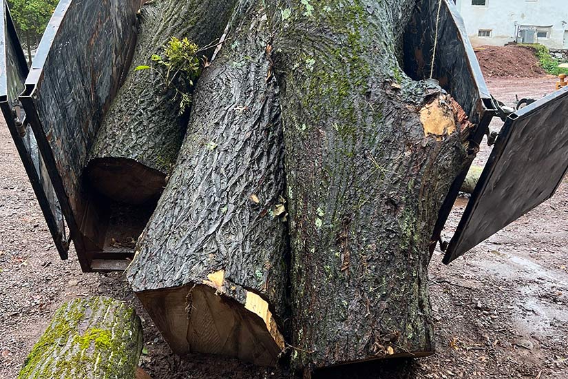 Firewood & Logs for Sale in New Jersey