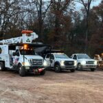 Free Tree Removal Estimates in NJ