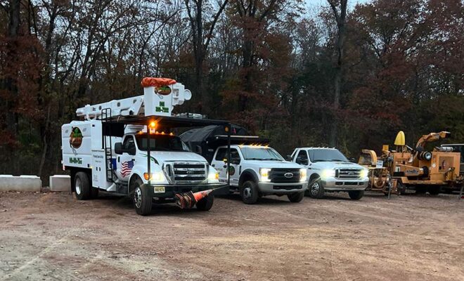 Free Tree Removal Estimates in NJ