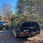 Hazardous Tree Removal New Jersey