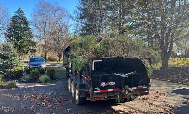 Hazardous Tree Removal New Jersey