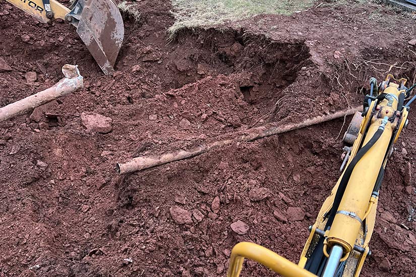 Hazardous Tree Removal New Jersey