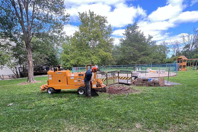 Stump Grinding Costs in New Jersey