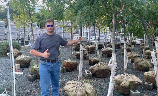 Tree Planting Service Far Hills