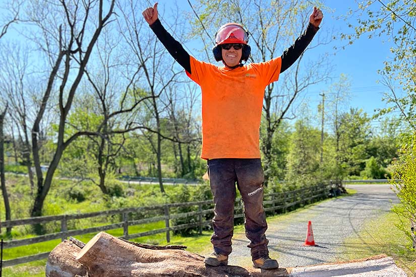 Emergency Tree Arborist NJ