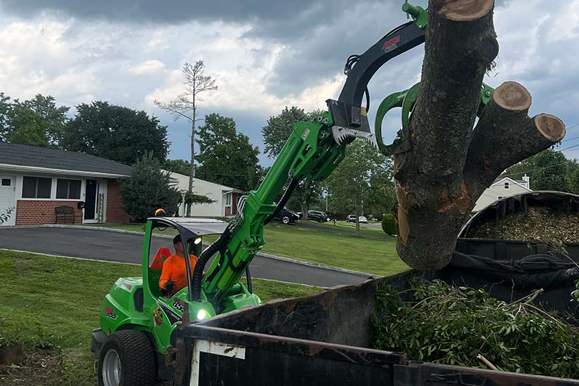 Emergency Tree Arborist NJ