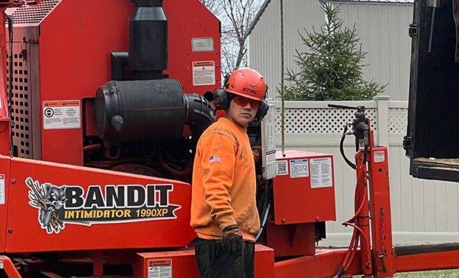 How to Choose a Certified Arborist