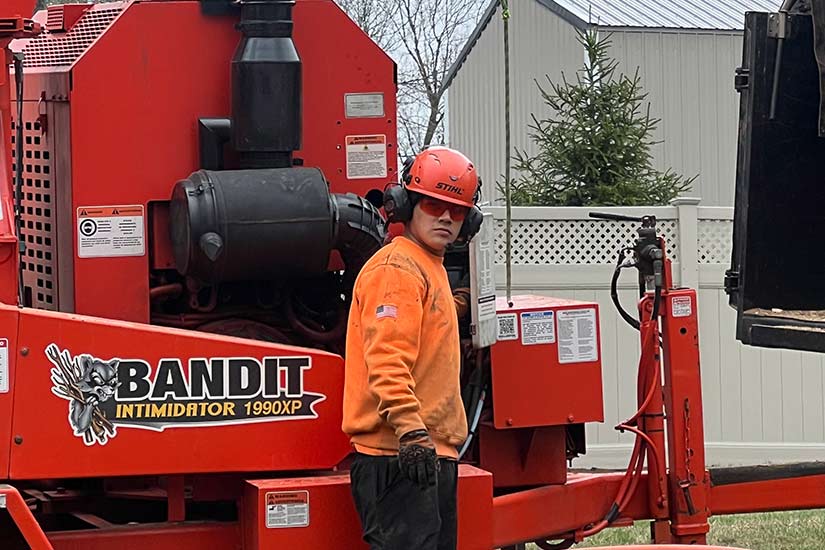 How to Choose a Certified Arborist