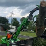 Large Tree Removal Specialists in NJ
