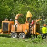 Tips for Preventing Tree Damage in NJ