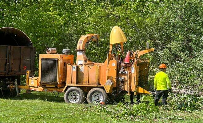 Tips for Preventing Tree Damage in NJ