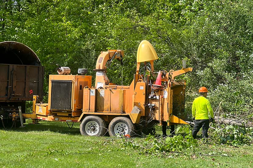 Tips for Preventing Tree Damage in NJ