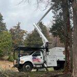 Emergency Tree Service New jersey