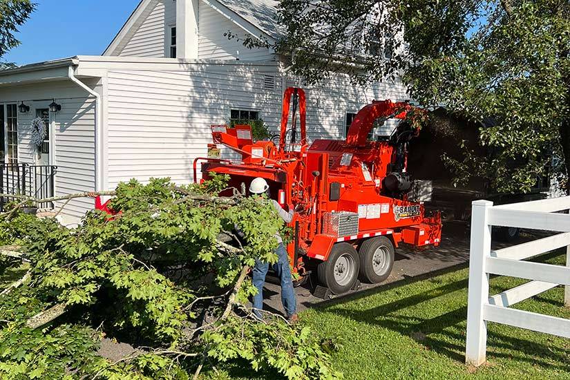 Emergency Tree Service New jersey
