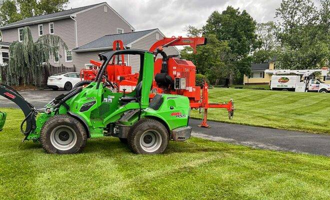tree services new jersey