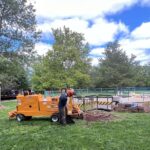 Stump Grinding Service Hampton