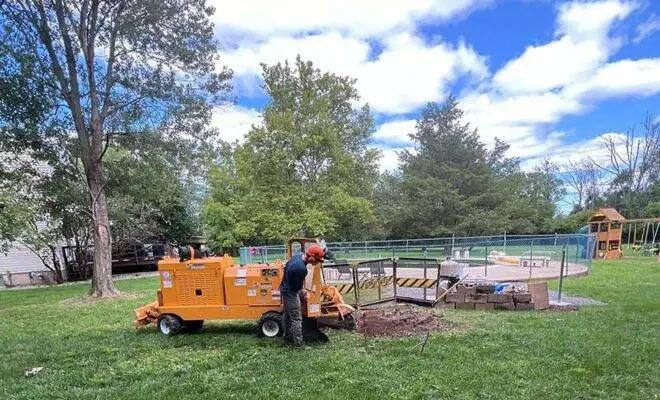 Stump Grinding Service Hampton