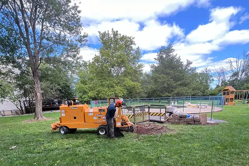 Stump Grinding Service Hampton