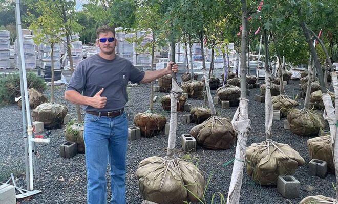 Tree planting Flemington