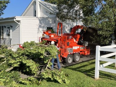 Professional Tree Trimming Service​ NJ